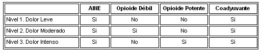 Manejo del dolor en el paciente con cáncer